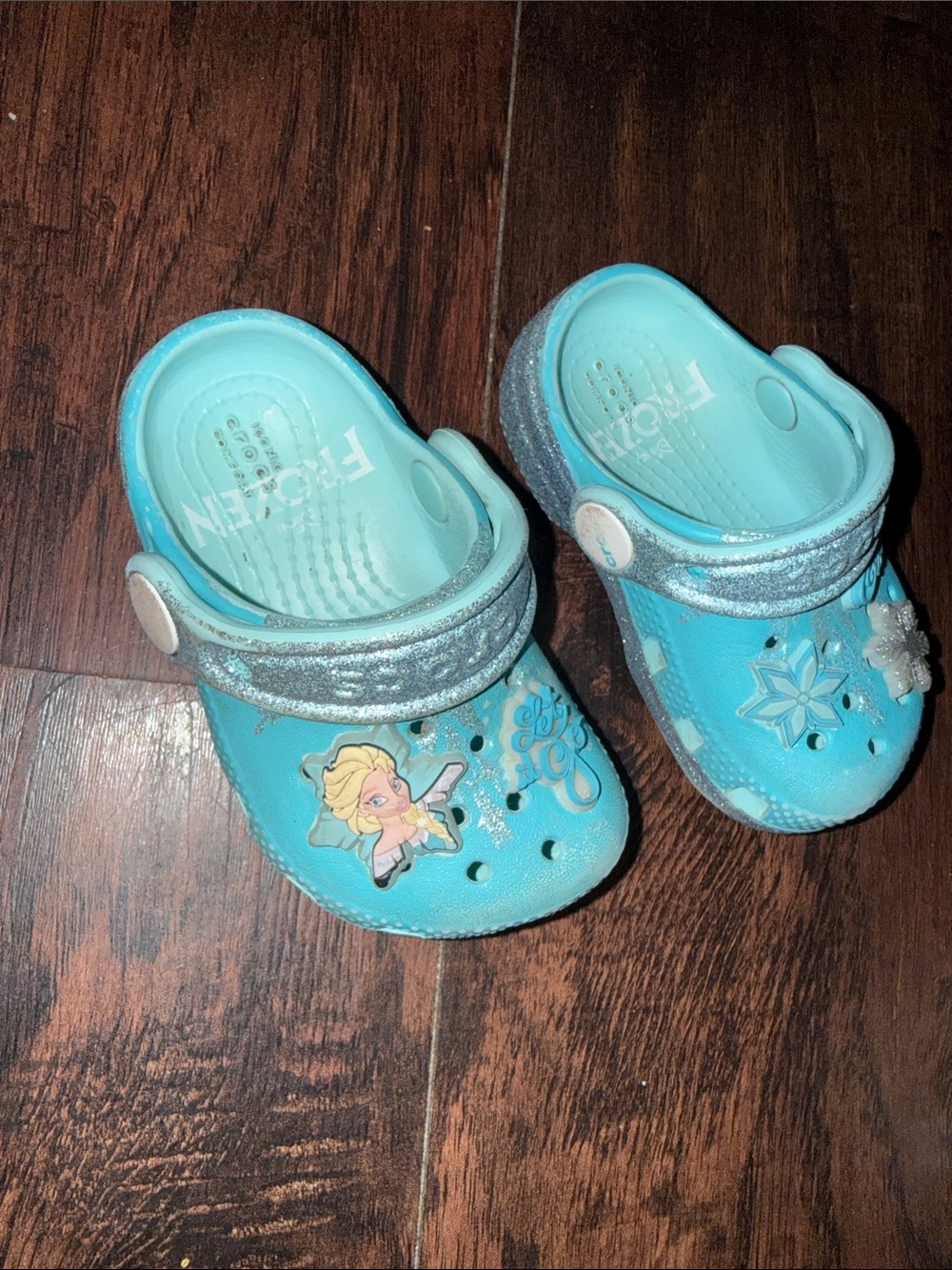 Crocs Kids' Disney Frozen Elsa Classic Clog Blue